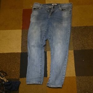 Black Label Women's Straight Leg Jeans - Light Blue Wash